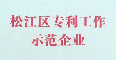 涌鎮獲得【2020年松江區專(zhuān)利示范企業(yè)】